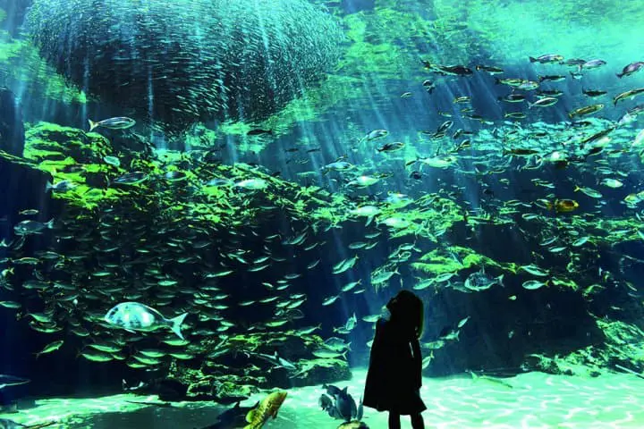 長崎再發掘・自駕精華遊！