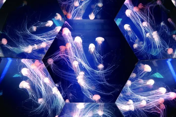 長崎再發掘・自駕精華遊！