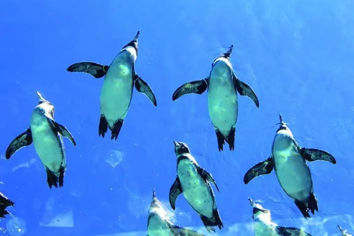 長崎再發掘・自駕精華遊！