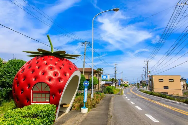 長崎再發掘・自駕精華遊!