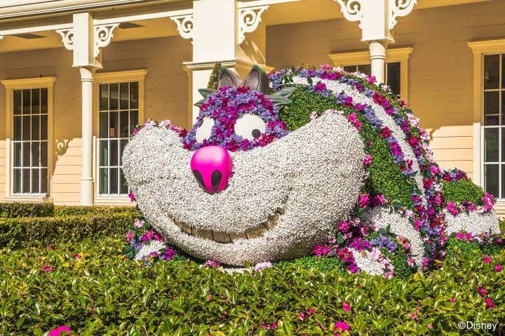 Tokyo Disney Celebration Hotel: A Magical Hotel For Family And Friends