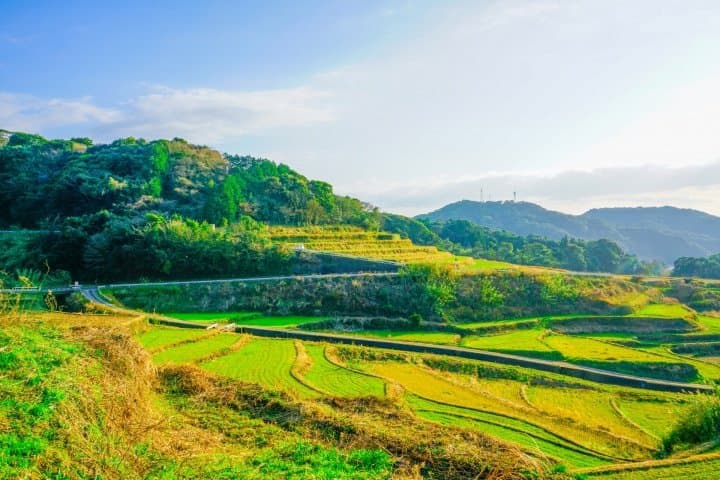 Experience Rural Japan! 5 Must-Visit, Nature-Filled Places | MATCHA