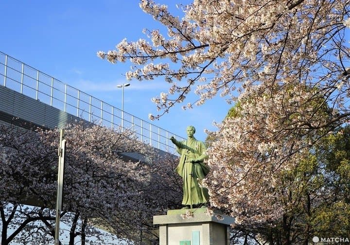 Sakura in Tokyo 2020 - Sumida Park