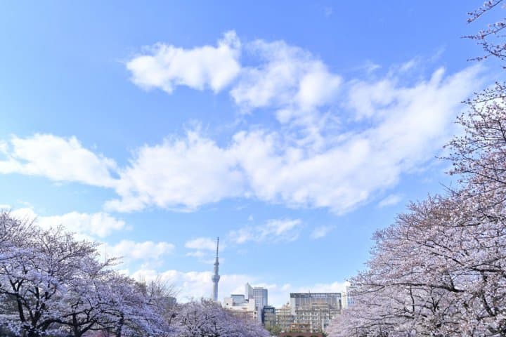 猿江恩賜公園