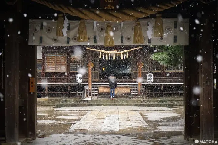 ซากุระท่ามกลางหิมะในชิบะ 2020