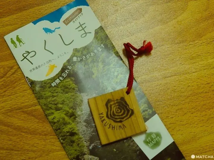 【屋久島 繩文杉】 走吧！深入讓人愛上登山的魔法森林