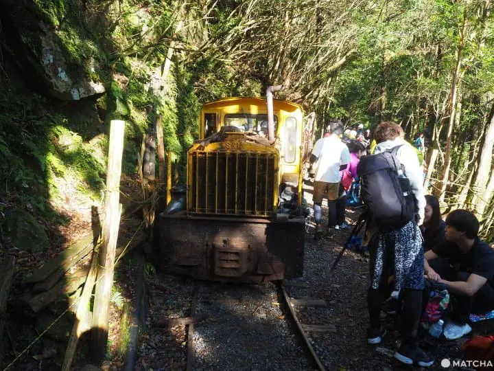 【屋久島 繩文杉】 走吧！深入讓人愛上登山的魔法森林