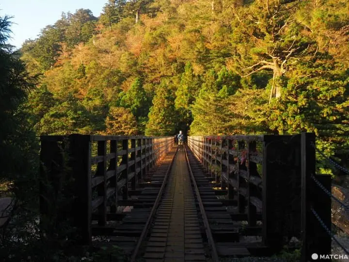 【屋久島 繩文杉】 走吧！深入讓人愛上登山的魔法森林