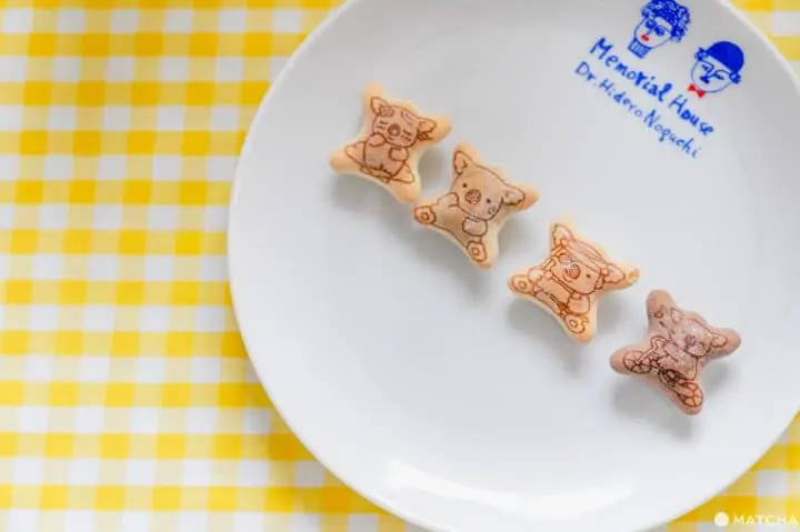 日本零食點心巧克力伴手禮_樂天小熊餅乾