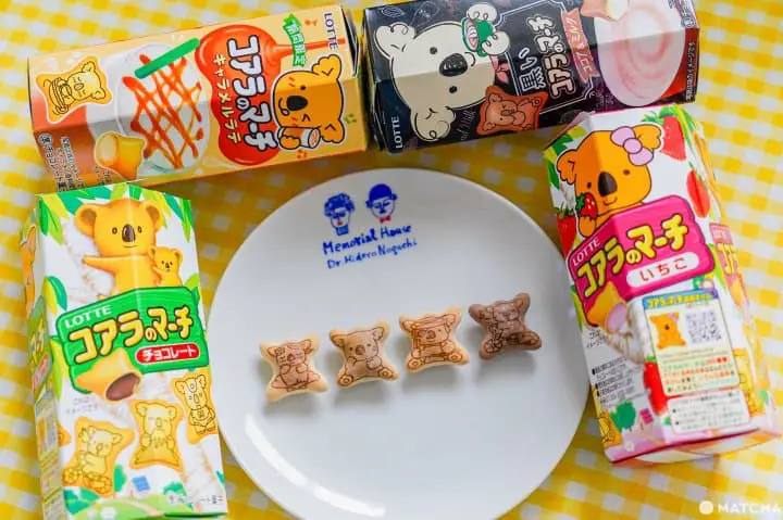 日本零食點心巧克力伴手禮_樂天小熊餅乾