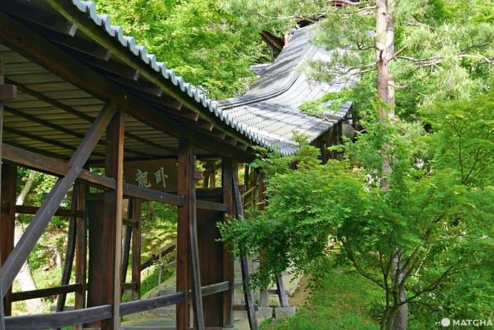 高台寺臥龍廊