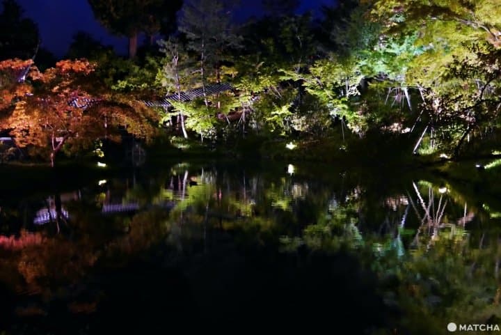 高台寺點燈