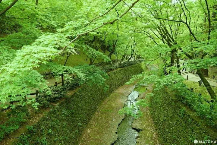北野天滿宮青楓