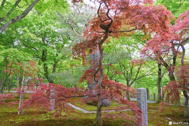 東福寺
