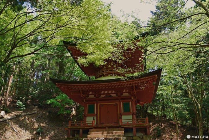 比叡山青楓