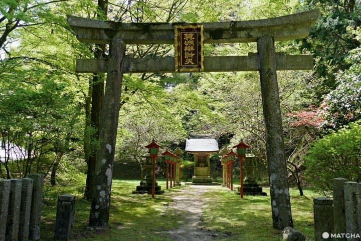 比叡山新綠