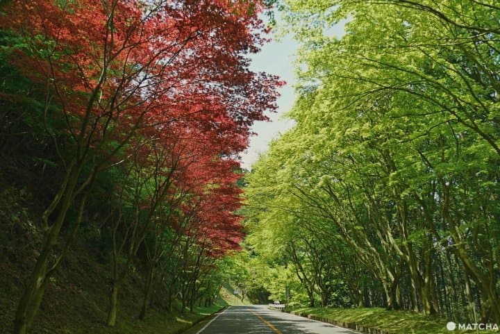 比叡山