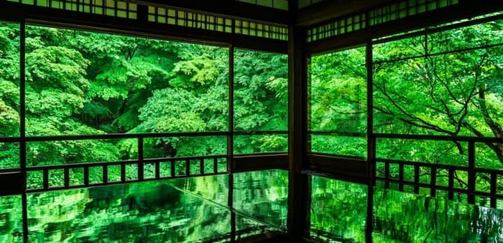 琉璃光院青楓