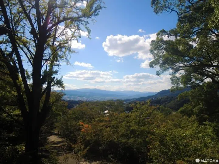 【福岡太宰府】傳統與現代並存．寶滿山竃門神社