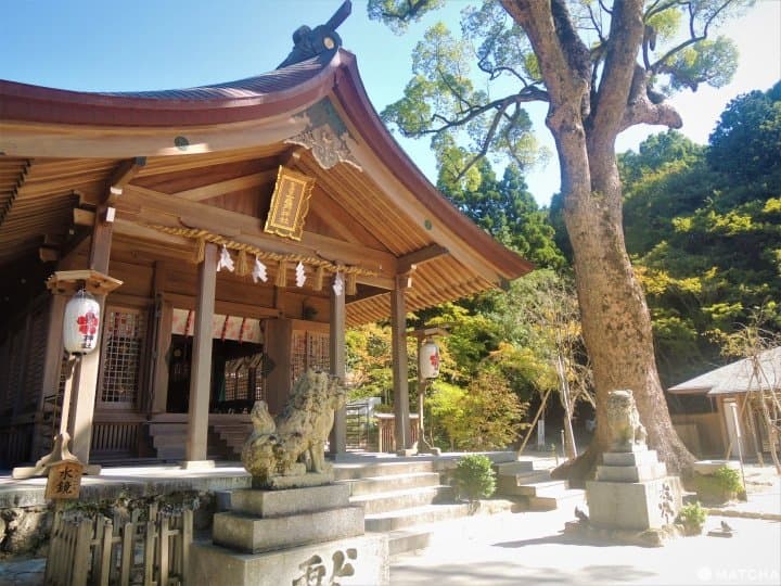 【福岡太宰府】傳統與現代並存.寶滿山竃門神社