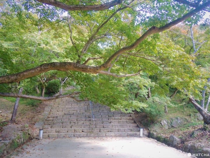 【福岡太宰府】傳統與現代並存.寶滿山竃門神社