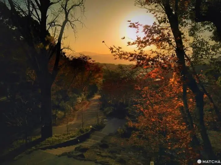 【福岡太宰府】傳統與現代並存．寶滿山竃門神社