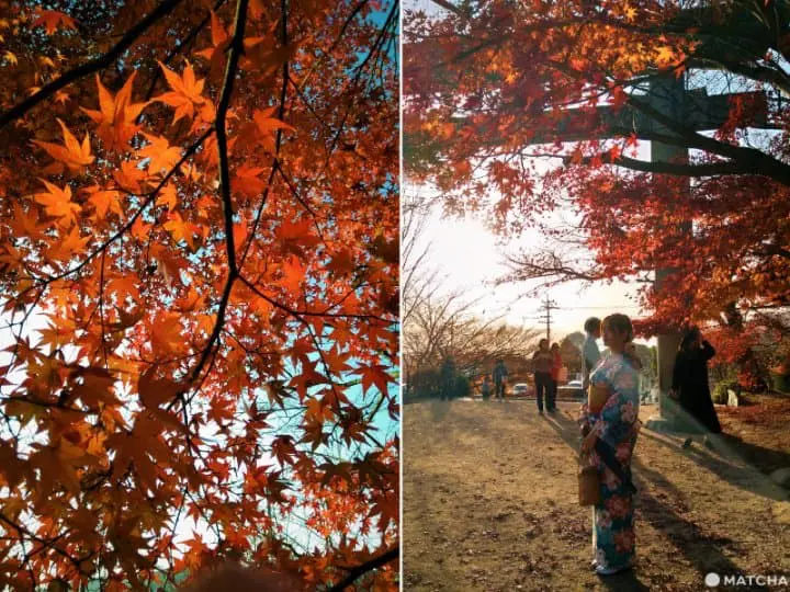 【福岡太宰府】傳統與現代並存．寶滿山竃門神社