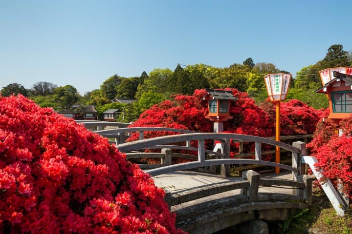 長岡天滿