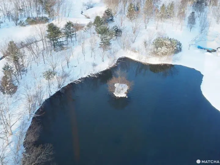 【北海道 中標津】走入鮭魚的生命時光機。鮭魚科學博物館