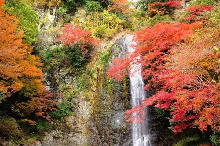 【2024】昇仙峡の紅葉の見頃はいつ？おすすめの見どころやアクセスも紹介