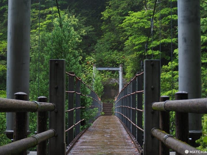 【屋久島 繩文杉】 走吧!深入讓人愛上登山的魔法森林