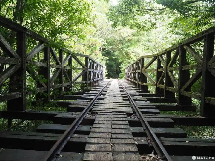 【屋久島 繩文杉】 走吧！深入讓人愛上登山的魔法森林