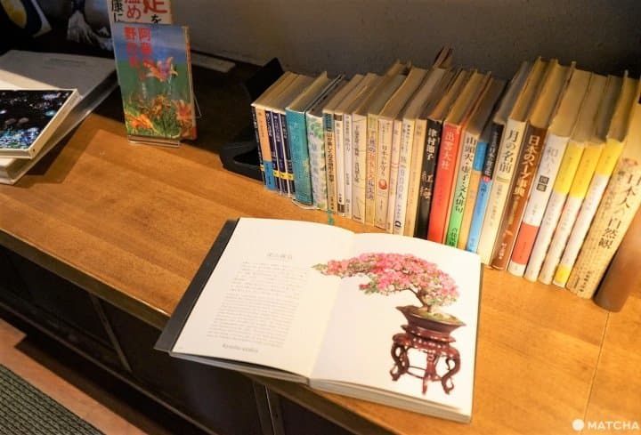 Discover Kyushu! 7 Reasons To Stay At Hoshino Resorts KAI Aso