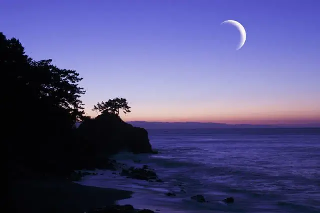 高知でしたい10のこと(絶景・歴史スポット・グルメなどまとめ)