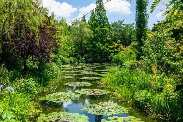 高知でしたい10のこと(絶景・歴史スポット・グルメなどまとめ)