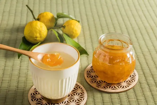 高知でしたい10のこと(絶景・歴史スポット・グルメなどまとめ)