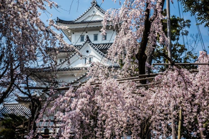 Gifu Castle