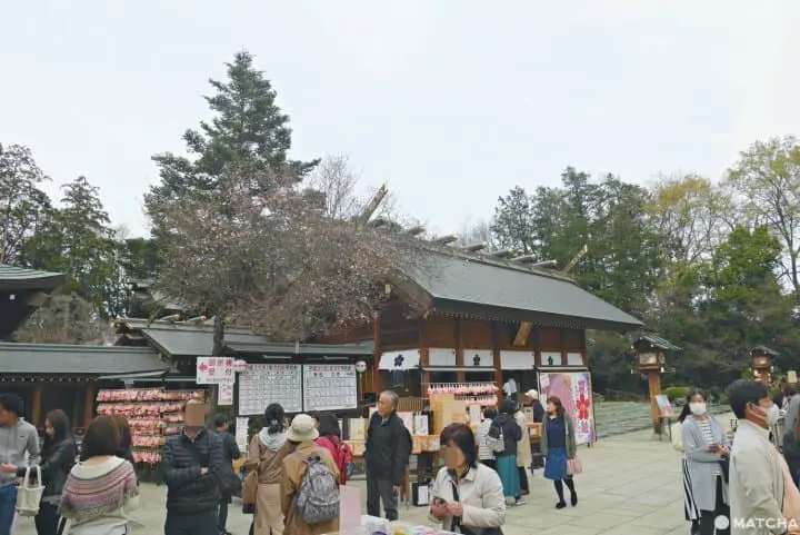 櫻木神社櫻花祭