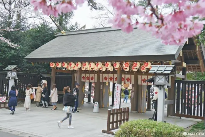 櫻木神社御朱印收藏