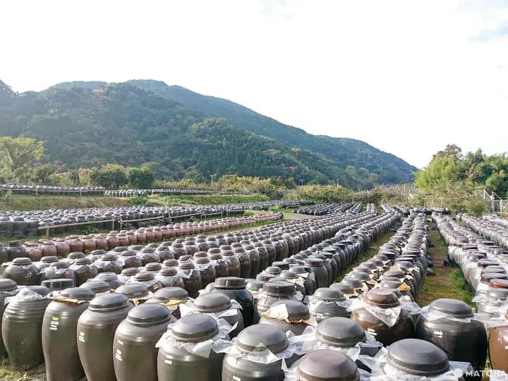 天然釀造黑醋 自家餐廳吃黑醋料理 鹿兒島黑醋本舖桷志田