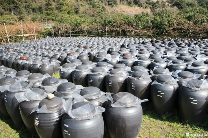 天然釀造黑醋 自家餐廳吃黑醋料理 鹿兒島黑醋本舖桷志田