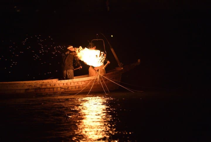 Cormorant Fishing