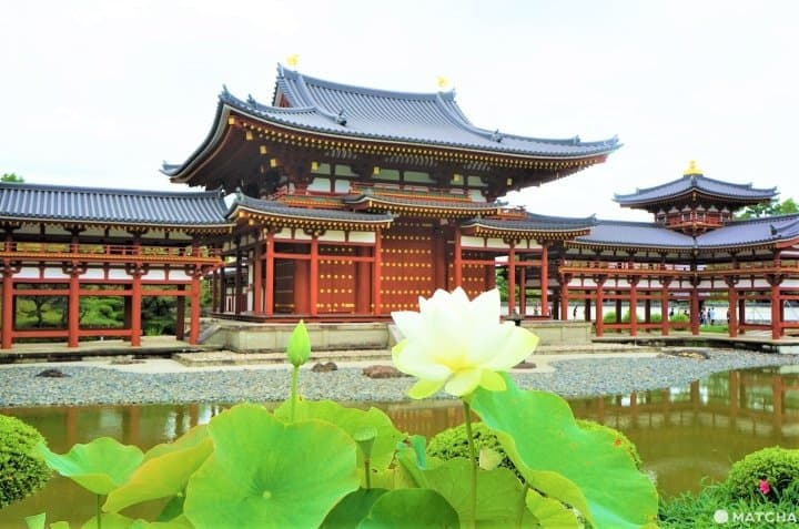 Uji Complete Guide - Travel To The Phoenix Hall In Kyoto's Town Of Tea
