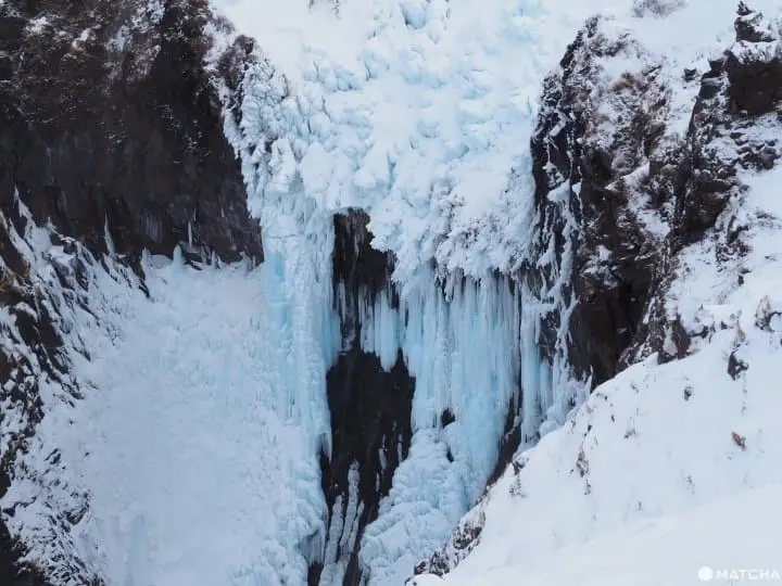 【北海道 知床】讓可愛棕熊陪你過生活，知床限定特色伴手禮5選