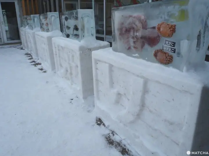 【北海道 知床】讓可愛棕熊陪你過生活，知床限定特色伴手禮5選