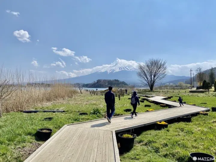 河口湖大石公園