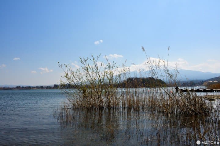 河口湖岸