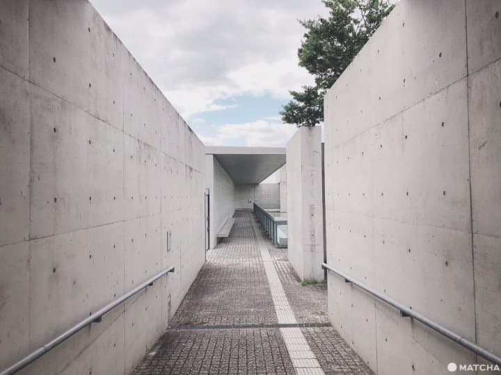 【大阪】漫遊日本最古老的水庫式蓄水池「狹山池」,與建築大師安藤忠雄相遇