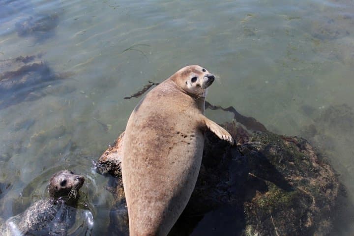 小樽水族館