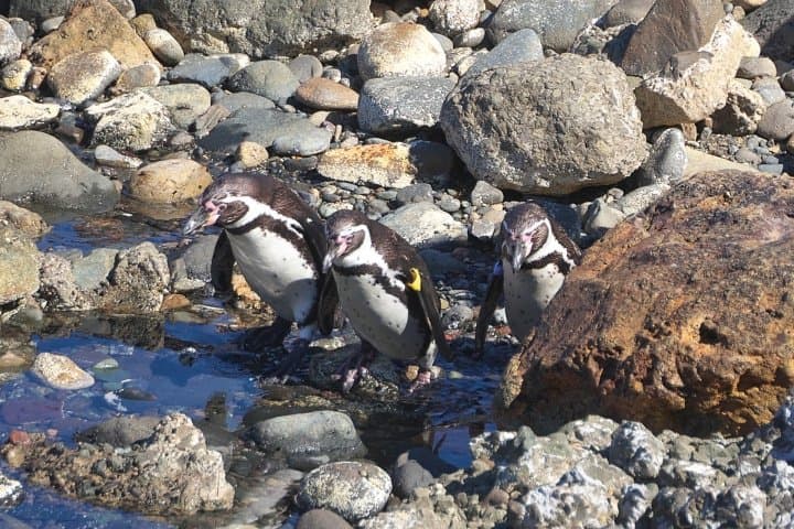 小樽水族館